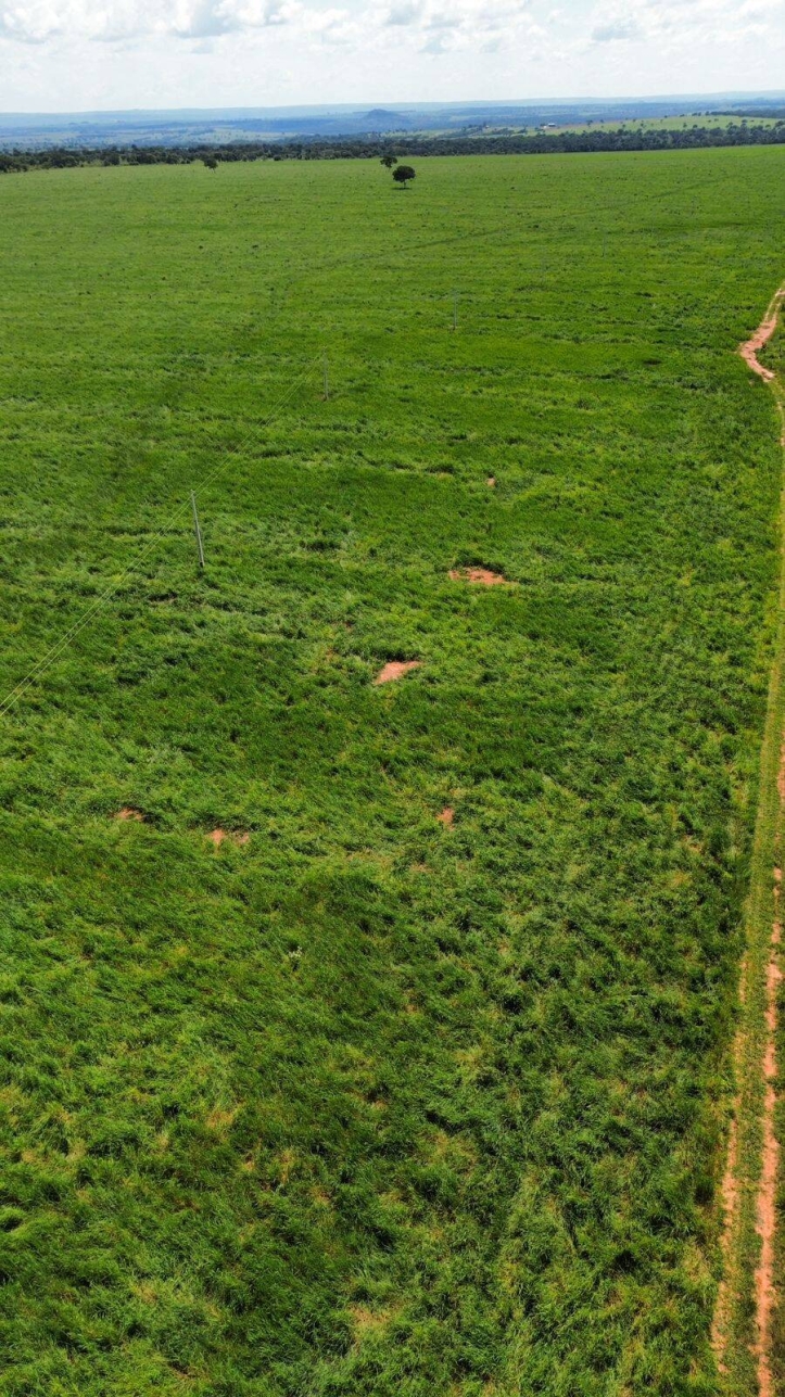 Terreno à venda, 80m² - Foto 6