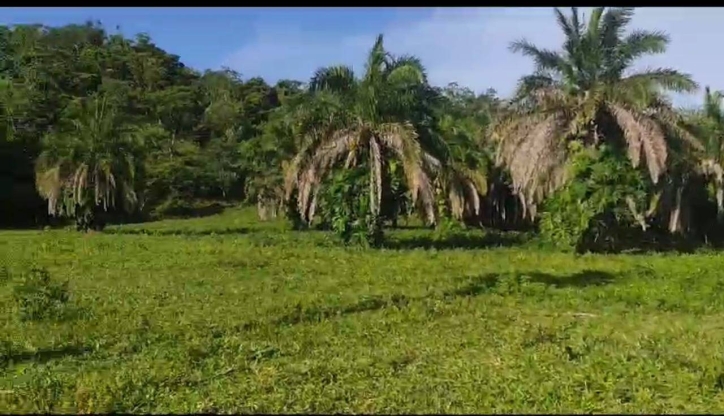 Terreno à venda, 5m² - Foto 1