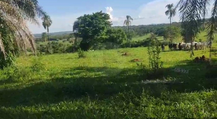 Terreno à venda, 5m² - Foto 3