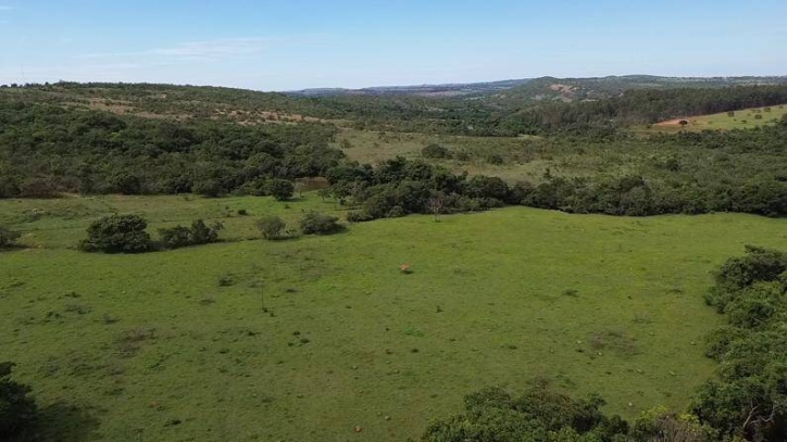 Terreno à venda, 31m² - Foto 3