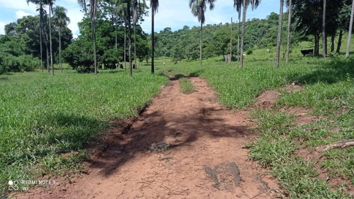 Terreno à venda, 80m² - Foto 3