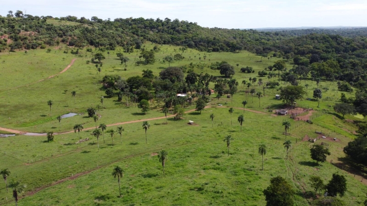 Terreno à venda, 80m² - Foto 5