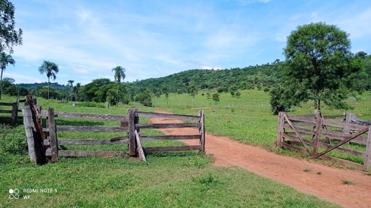 Terreno à venda, 80m² - Foto 6