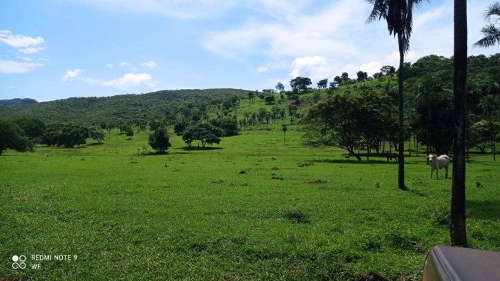 Terreno à venda, 80m² - Foto 7