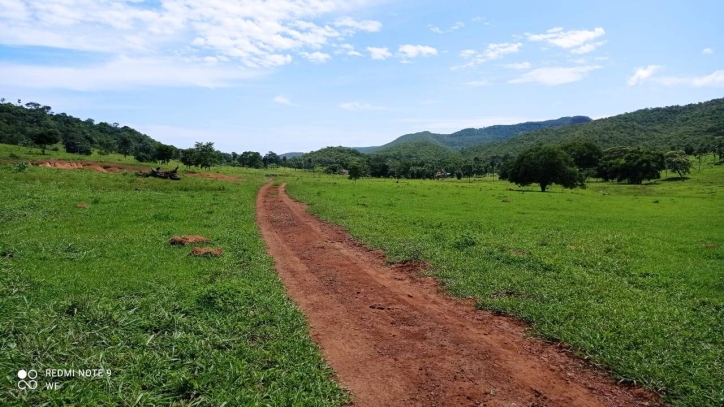 Terreno à venda, 80m² - Foto 1