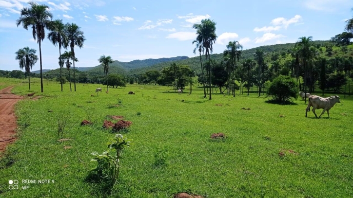 Terreno à venda, 80m² - Foto 13