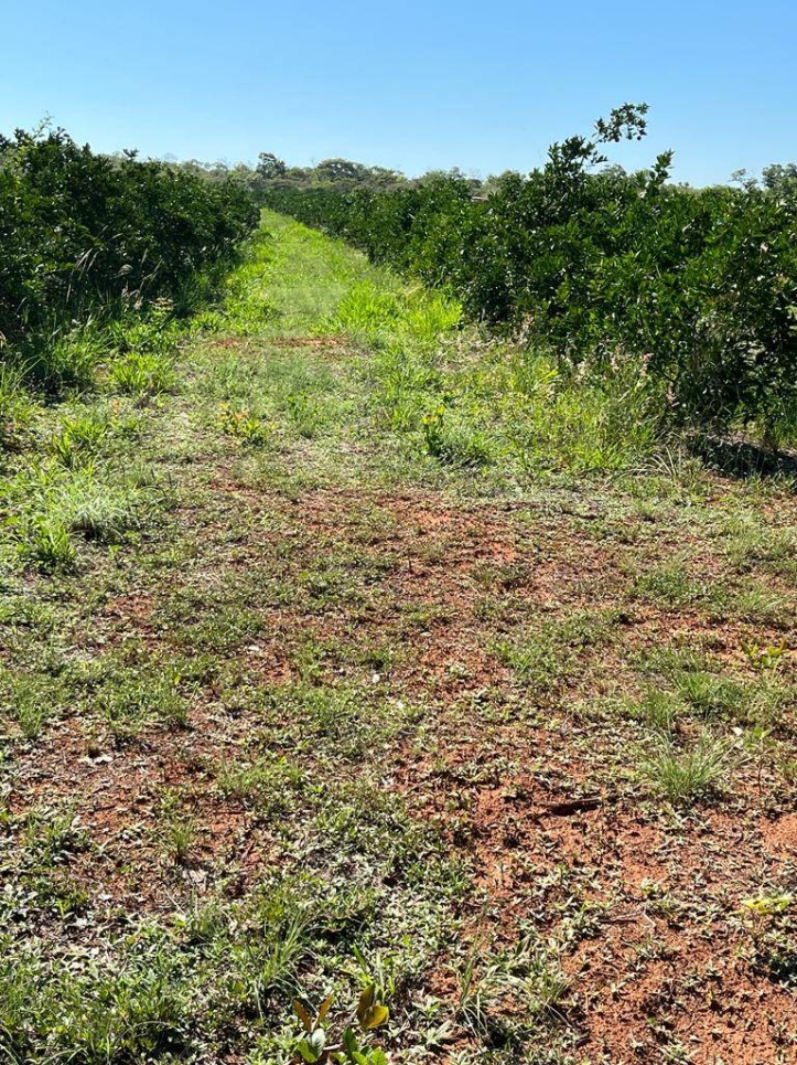 Terreno à venda, 210m² - Foto 2