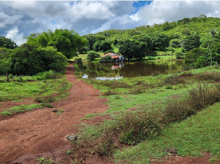 Terreno à venda, 90m² - Foto 6