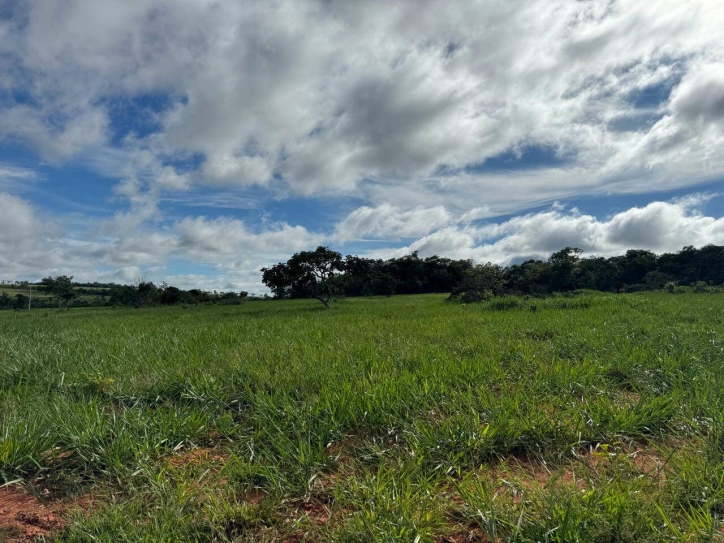 Terreno à venda, 1936m² - Foto 2