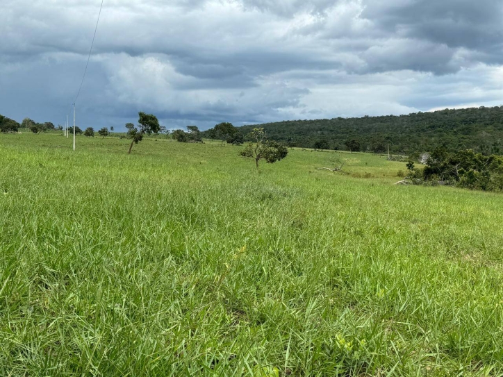 Terreno à venda, 1936m² - Foto 6