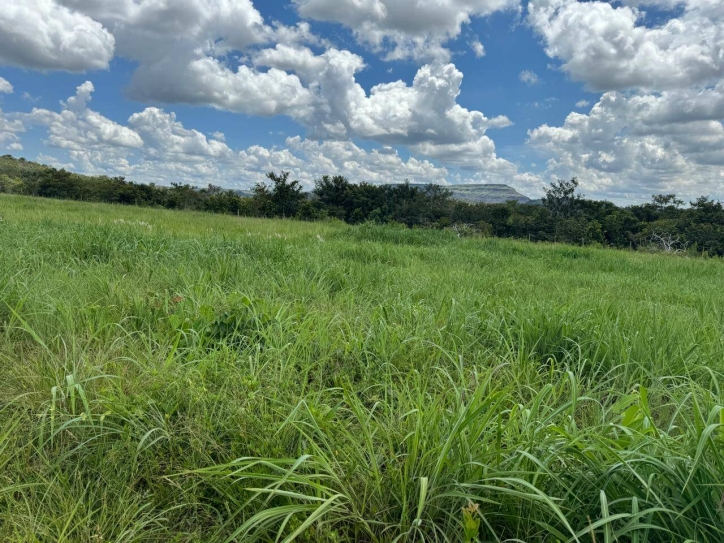 Terreno à venda, 1936m² - Foto 13