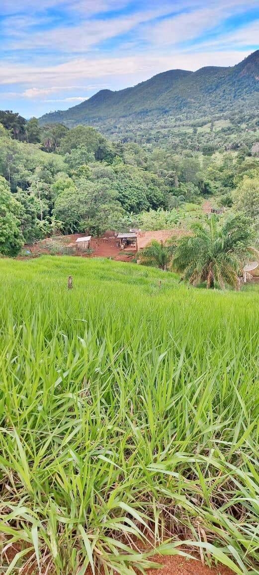 Terreno à venda, 7m² - Foto 3