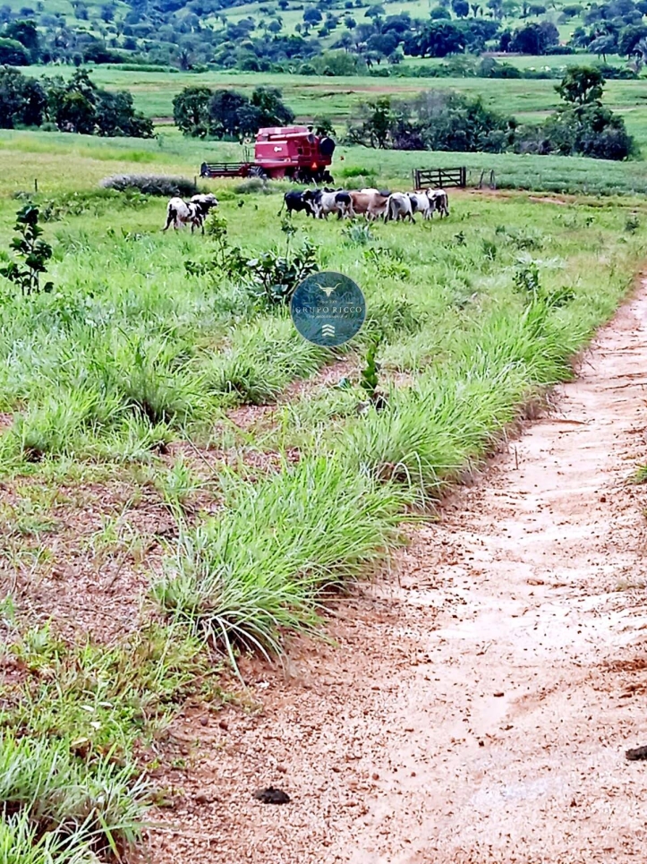 Terreno à venda, 56m² - Foto 13