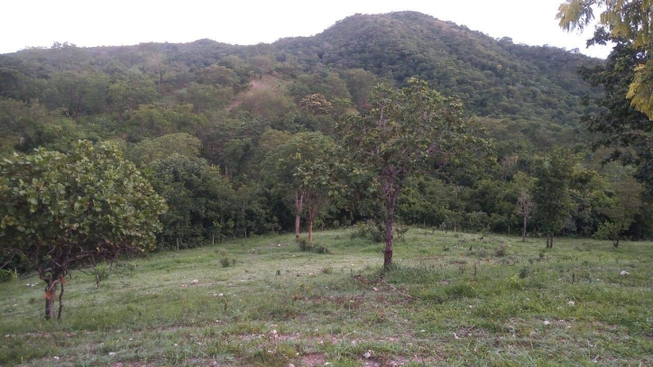 Terreno à venda, 16m² - Foto 6