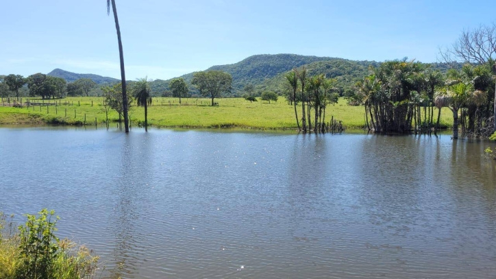 Terreno à venda, 136m² - Foto 4