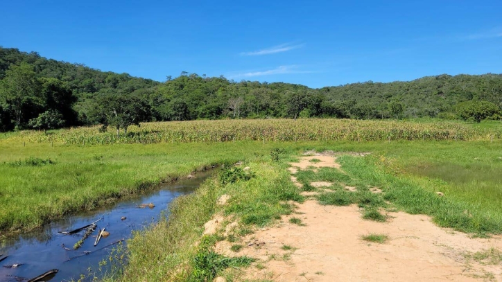 Terreno à venda, 136m² - Foto 6