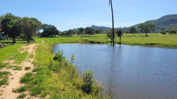 Terreno à venda, 136m² - Foto 8