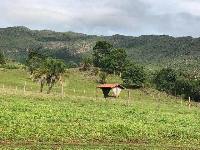 Terreno à venda, 38m² - Foto 5