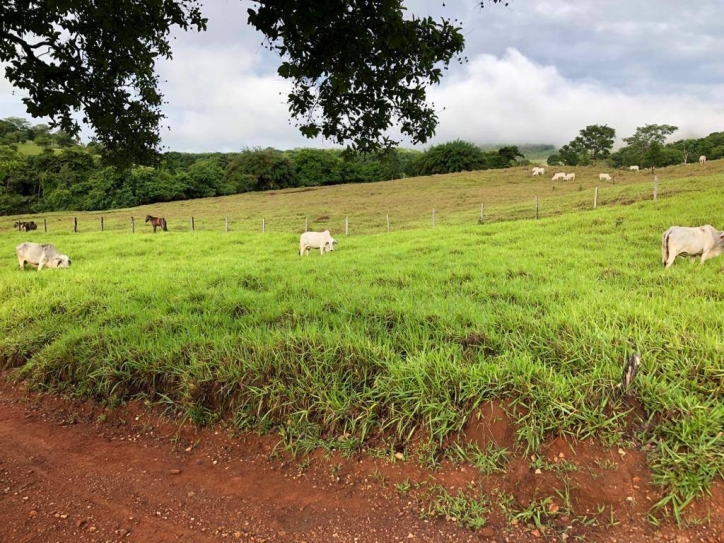 Terreno à venda, 38m² - Foto 10