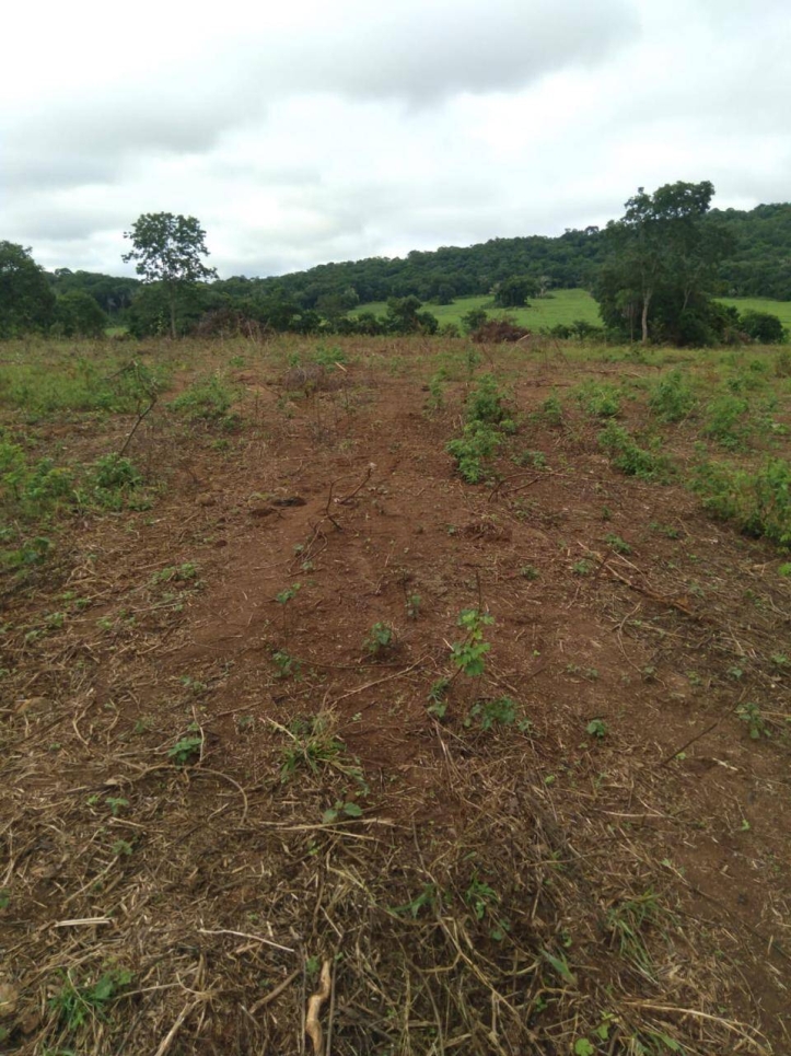 Terreno à venda, 20m² - Foto 4