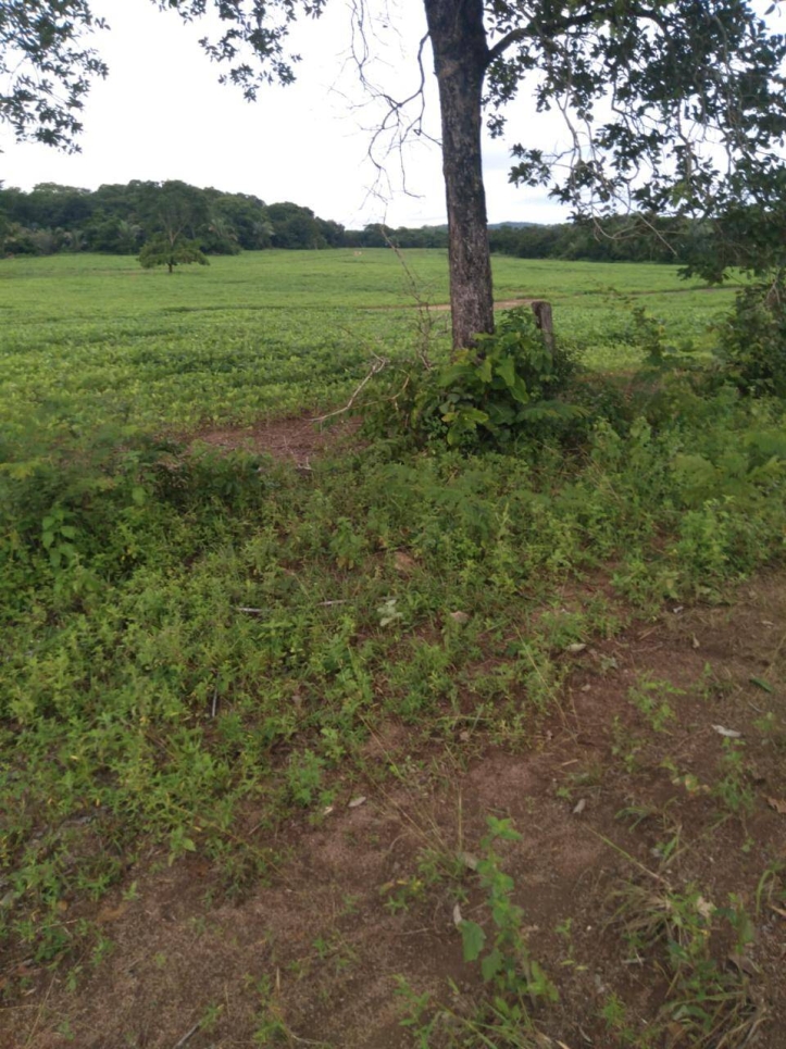 Terreno à venda, 20m² - Foto 12