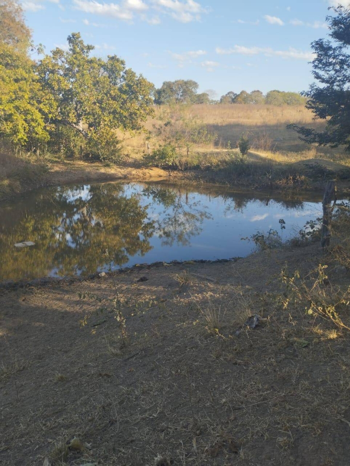 Terreno à venda, 20m² - Foto 13