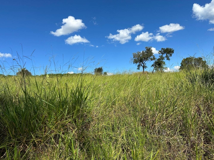 Terreno à venda, 2m² - Foto 5