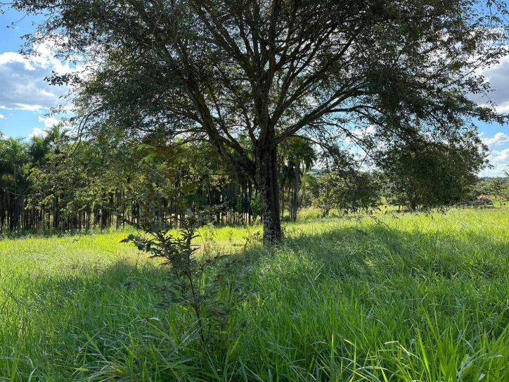 Terreno à venda, 2m² - Foto 19