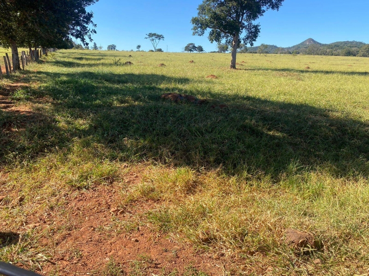 Terreno à venda, 1m² - Foto 1