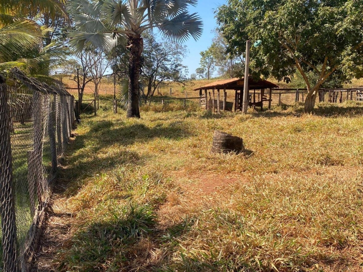 Terreno à venda, 2m² - Foto 7