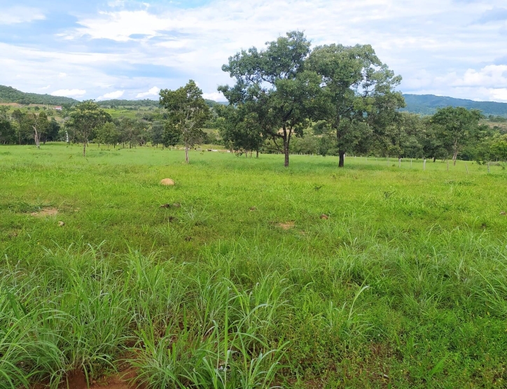 Terreno à venda, 9m² - Foto 1