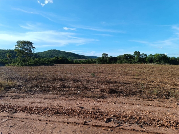 Terreno à venda, 33m² - Foto 1