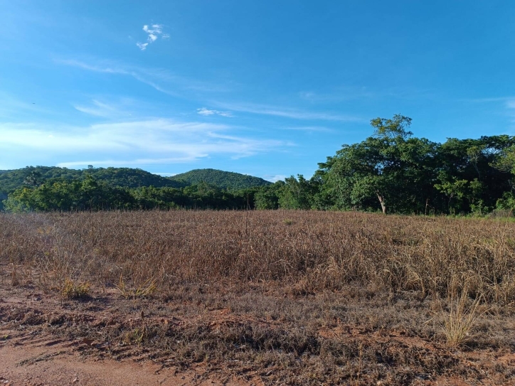 Terreno à venda, 33m² - Foto 2