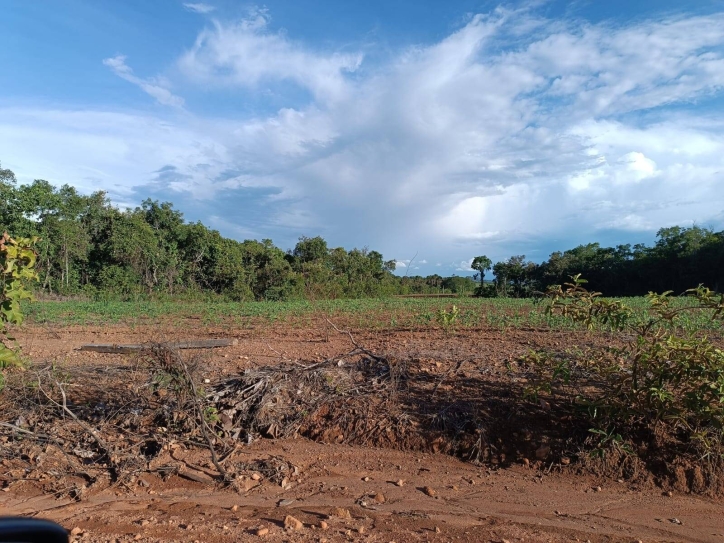 Terreno à venda, 33m² - Foto 5