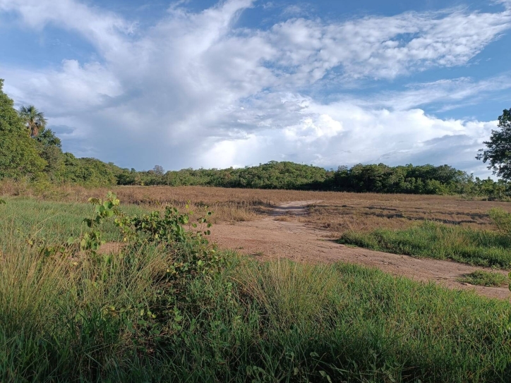 Terreno à venda, 33m² - Foto 13