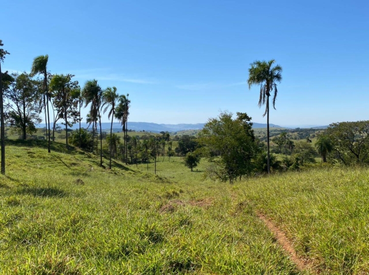 Terreno à venda, 308m² - Foto 4