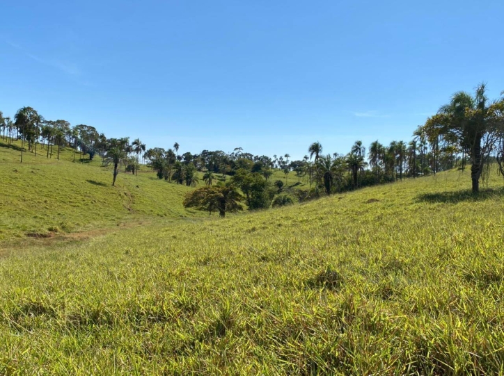 Terreno à venda, 308m² - Foto 5