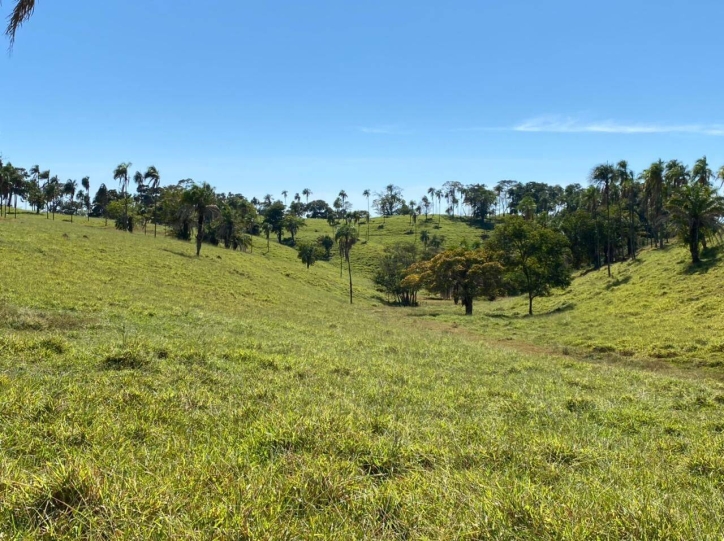 Terreno à venda, 308m² - Foto 6