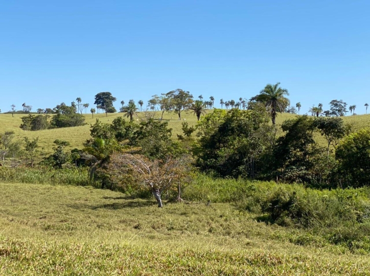 Terreno à venda, 308m² - Foto 12