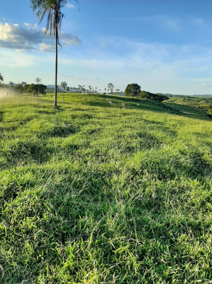 Terreno à venda, 430m² - Foto 8