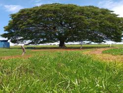 Venda em zona rural - Aragoiânia