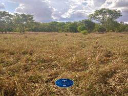 #1446 - Fazenda para Venda em Nova Xavantina - MT