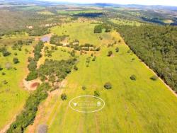 #1516 - Fazenda para Venda em Caldas Novas - GO