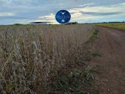 #1534 - Fazenda para Venda em Niquelândia - GO