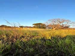 #1638 - Fazenda para Venda em Iporá - GO