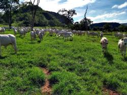 Venda em zona rural - Rondonópolis