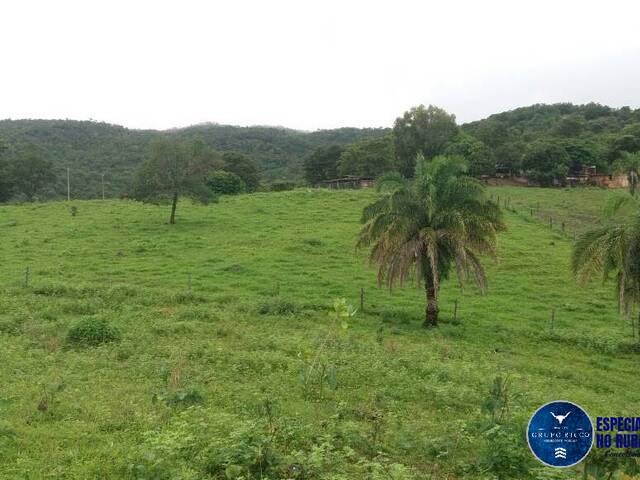 Venda em zona rural - Faina