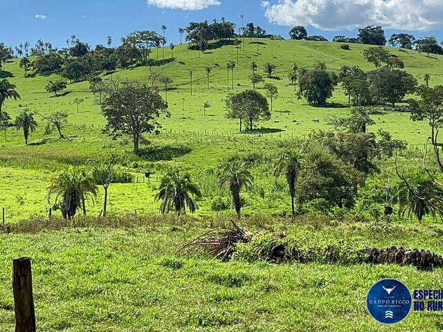 #2993 - Fazenda para Venda em Nazário - GO