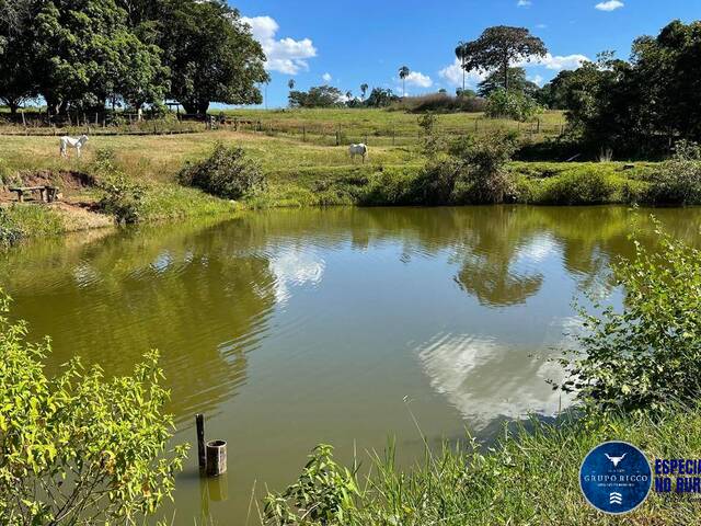 #2993 - Fazenda para Venda em Nazário - GO