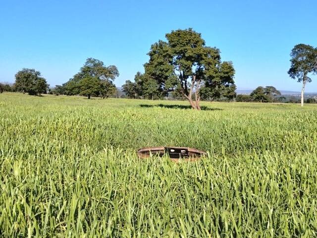 #2994 - Fazenda para Venda em Itarumã - GO